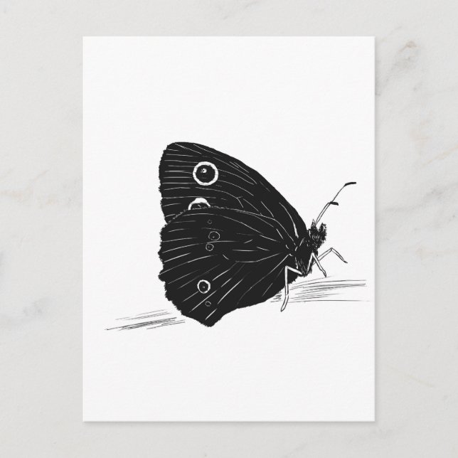 Postal Mariposa monocromo  (Anverso)