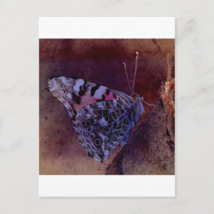 Postal Mariposa morada