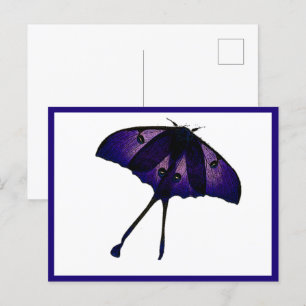 Postal Mariposa morada en la foto natural del jardín de p