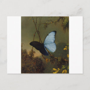 Postal Mariposa morfa azul 1865 Primavera Personalizar el