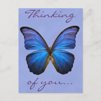 Postal Mariposa Morpho Azul