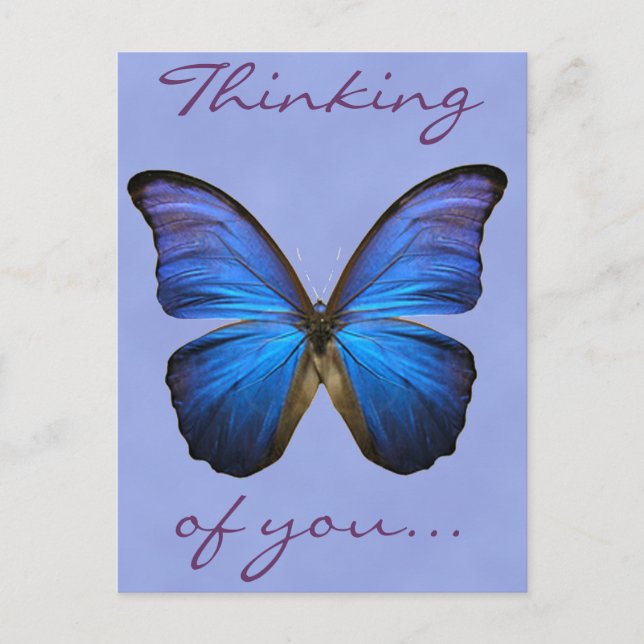 Postal Mariposa Morpho Azul (Anverso)