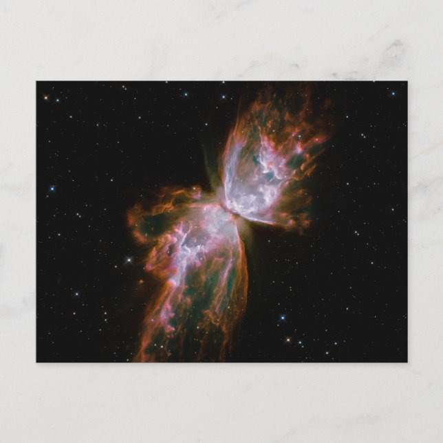 Postal Mariposa Nebulosa (Anverso)