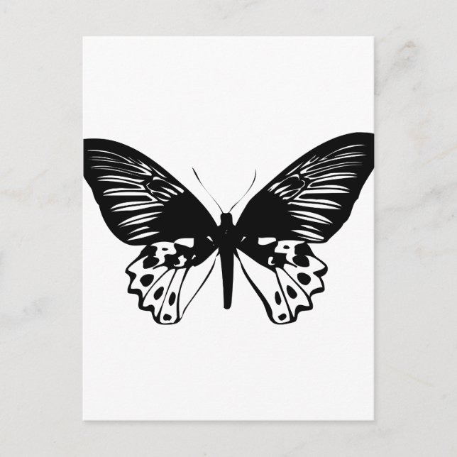 Postal Mariposa negra (Anverso)