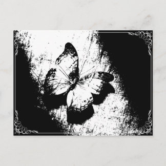 Postal Mariposa negra y blanca