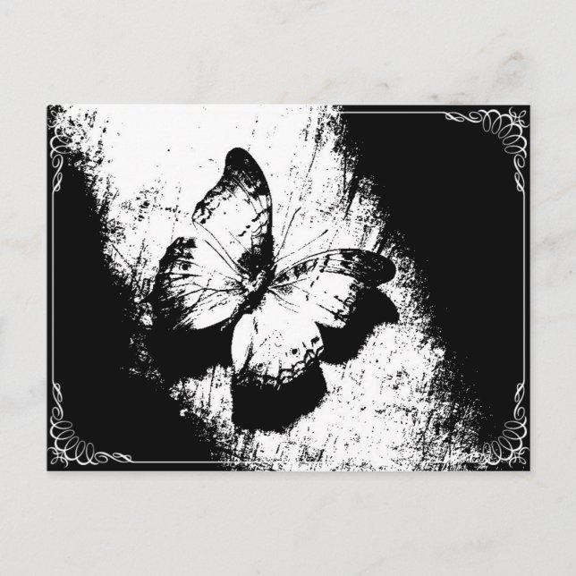 Postal Mariposa negra y blanca (Anverso)