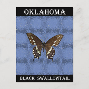 Postal Mariposa Oklahoma Black Swallowtail