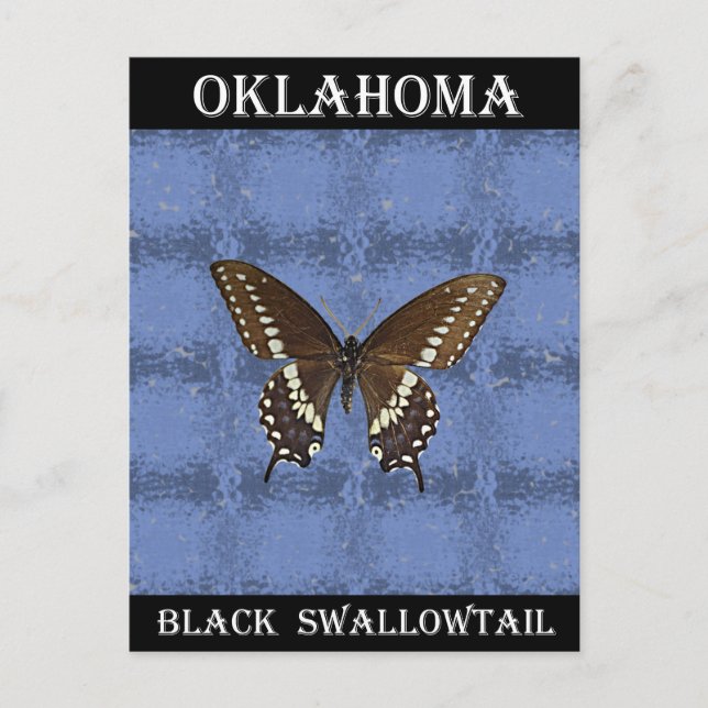 Postal Mariposa Oklahoma Black Swallowtail (Anverso)