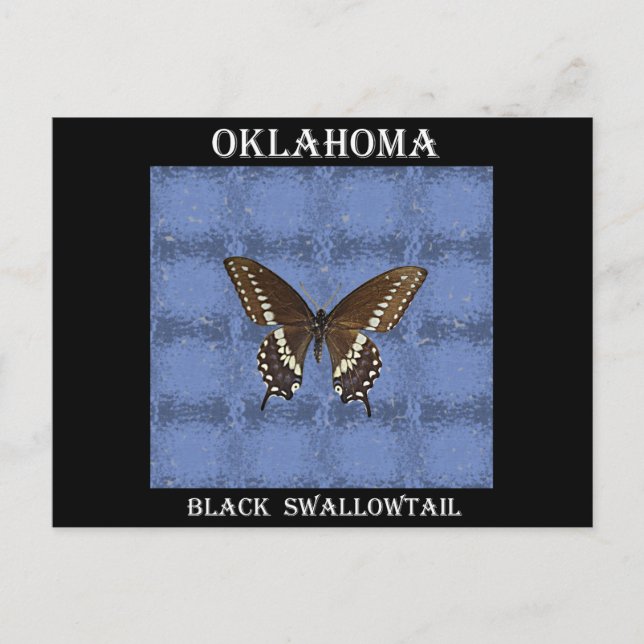 Postal Mariposa Oklahoma Black Swallowtail (Anverso)