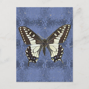 Postal Mariposa Oregon Swallowtail