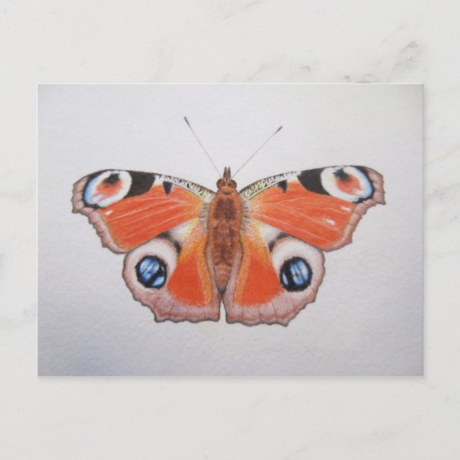 Postal Mariposa Peacock 2012 (Anverso)