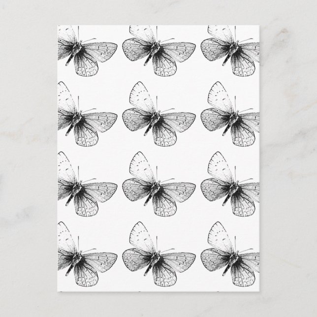 Postal Mariposa Pop Art (Anverso)