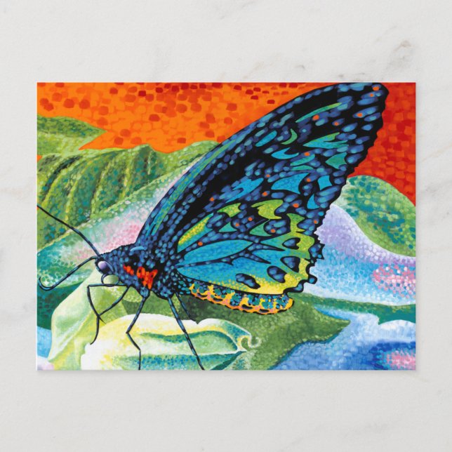Postal Mariposa postiza II (Anverso)