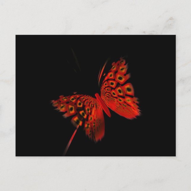 Postal Mariposa roja (Anverso)