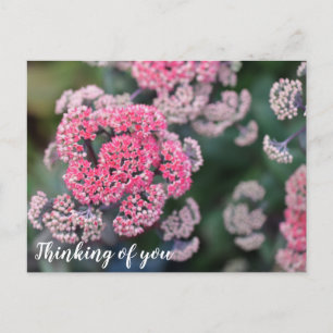 Postal Mariposa rosa y blanca Stonecup Pensando en ti