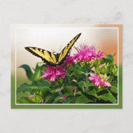 Postal Mariposa Swallowtail del Tigre del Este