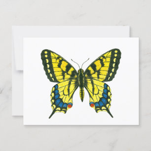 Postal Mariposa tigre