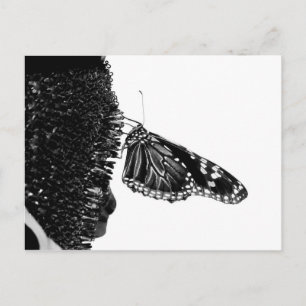 Postal mariposa tímida blacq