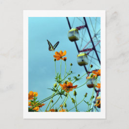 Postal Mariposa Triángulo Azul y flores de cosmos: Japón