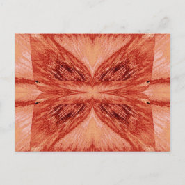 Postal Mariposa Velvet 7