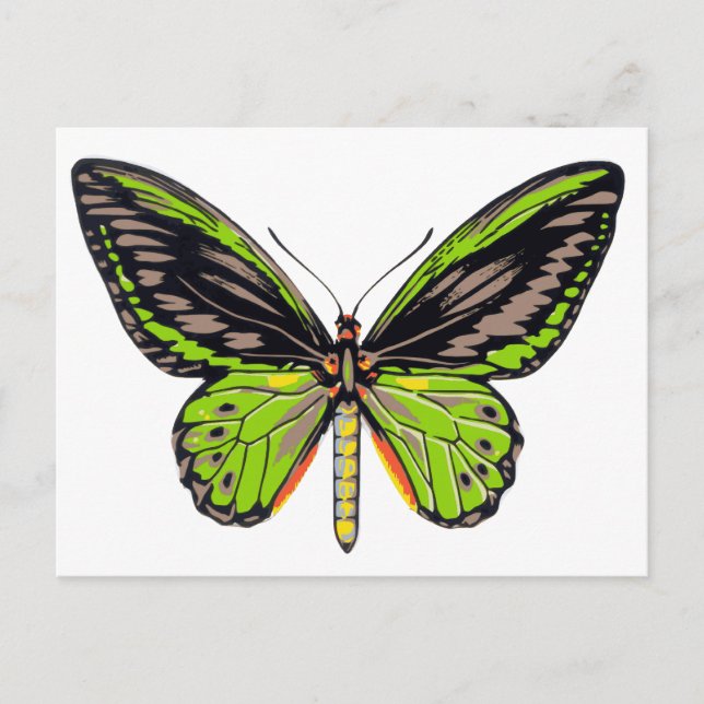 Postal Mariposa verde (Anverso)