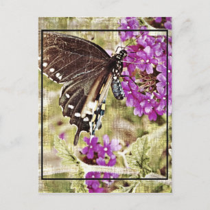 Postal Mariposa vintage con flor