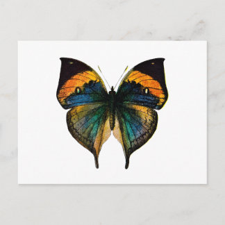 Postal Mariposa vintage - Litho de mariposa antigua del s