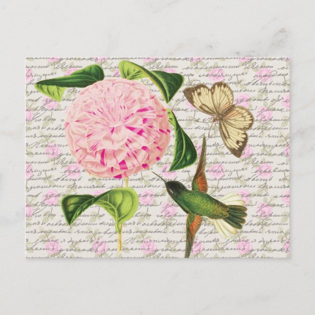 Postal Mariposa y carífilo de colibrí (Anverso)