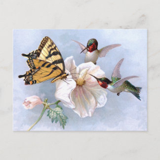 Postal Mariposa y colibríes