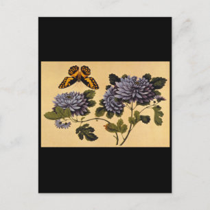 Postal Mariposa y Dahlias', artista desconocido