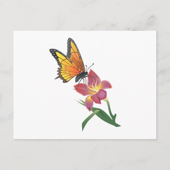 Postal Mariposa y flor (Anverso)