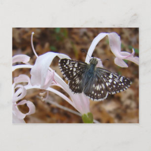 Postal Mariposa y flor bailarina