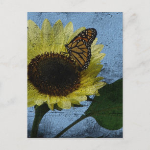 Postal Mariposa y girasol