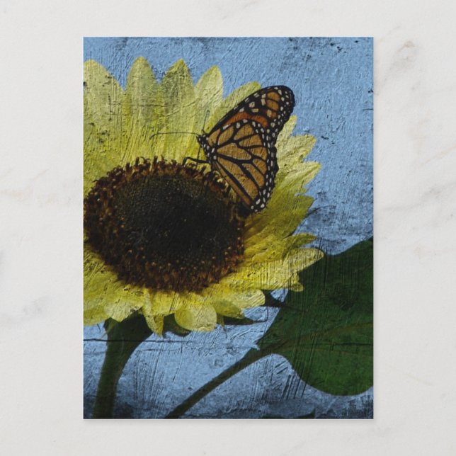Postal Mariposa y girasol (Anverso)
