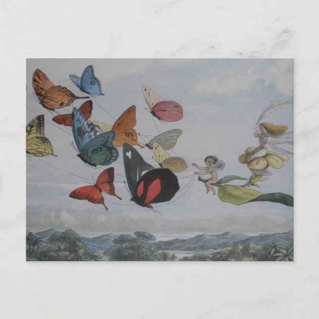 Postal Mariposa y hadas mariposas reina (Anverso)