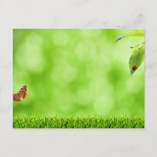 Postal Mariposa y insecto sobre hierba