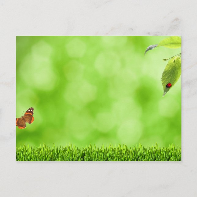 Postal Mariposa y insecto sobre hierba (Anverso)