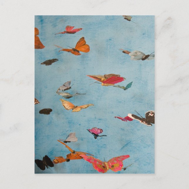 Postal Mariposas (Anverso)