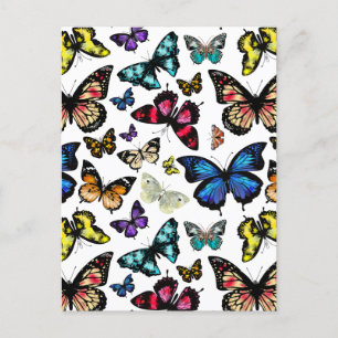 Postal Mariposas