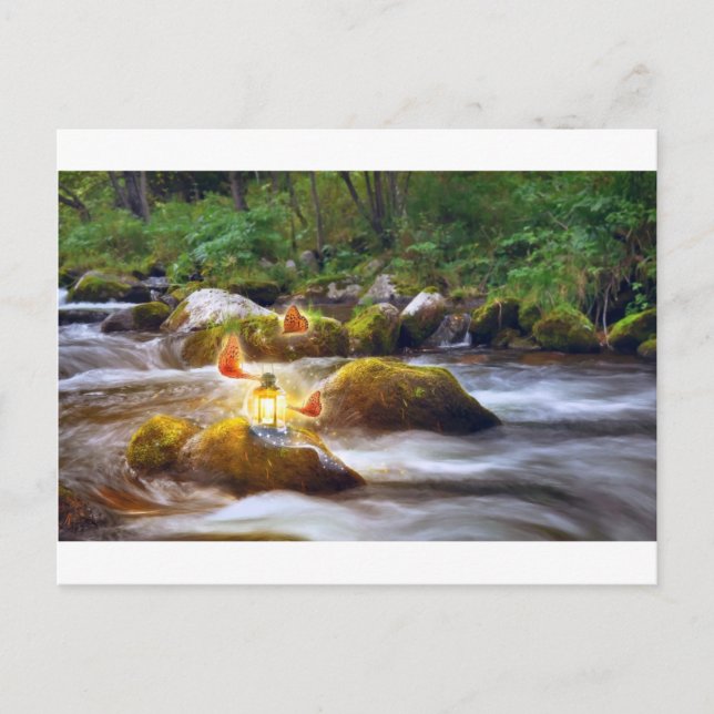 Postal Mariposas (Anverso)