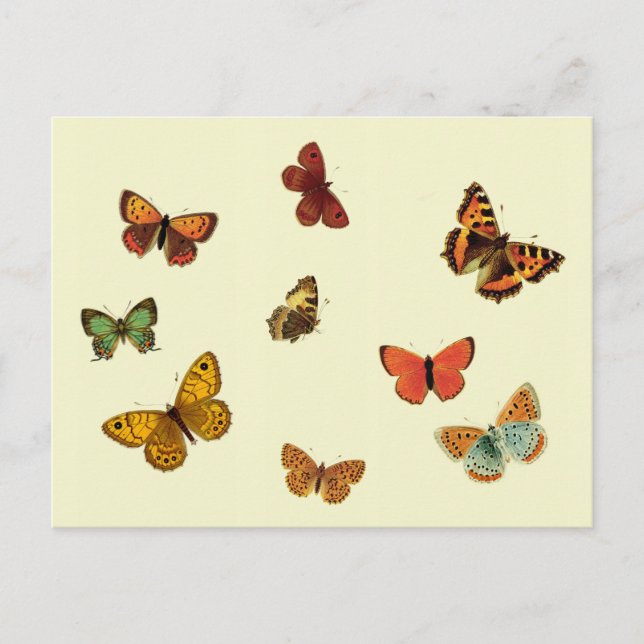 Postal Mariposas (Anverso)