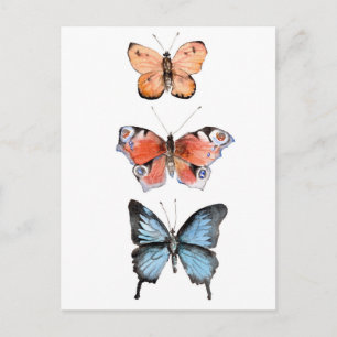 Postal Mariposas