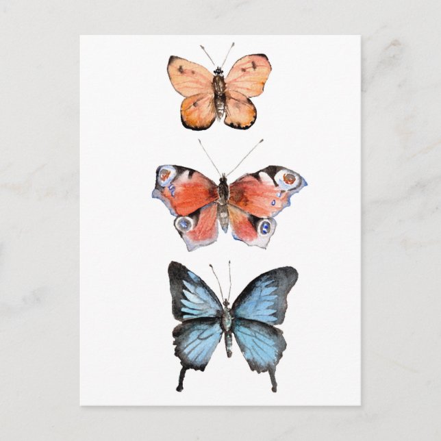 Postal Mariposas (Anverso)