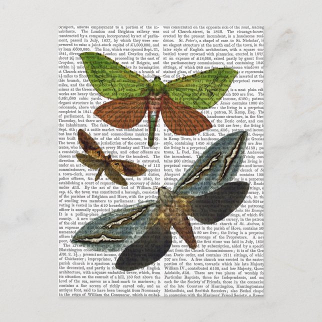 Postal Mariposas 4 (Anverso)