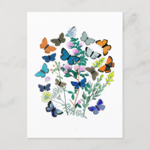 Postal Mariposas acuáticas Flores primavera verano