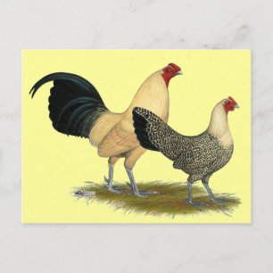 Postal Mariposas antiguas de crema inglesa