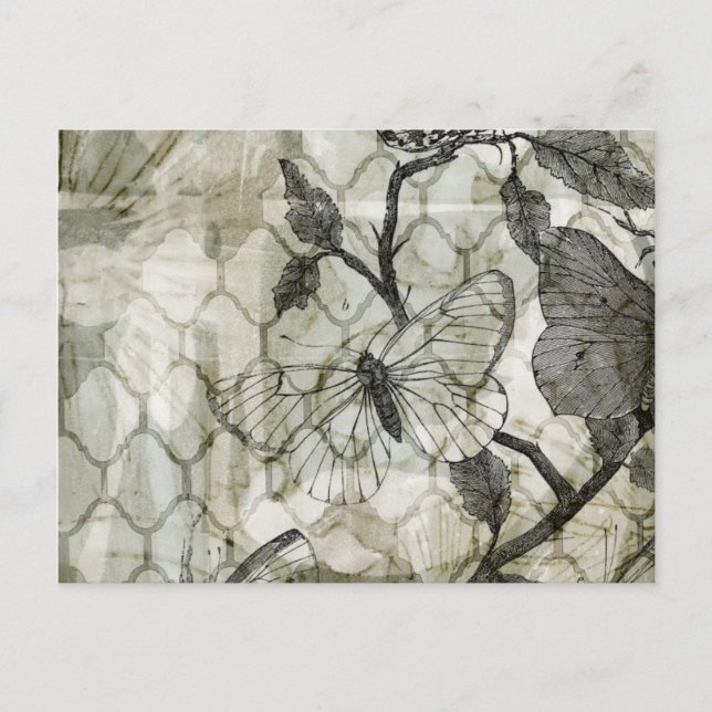 Postal Mariposas árabes II (Anverso)