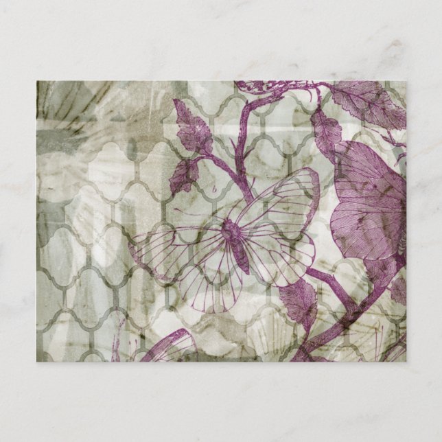 Postal Mariposas árabes IV (Anverso)