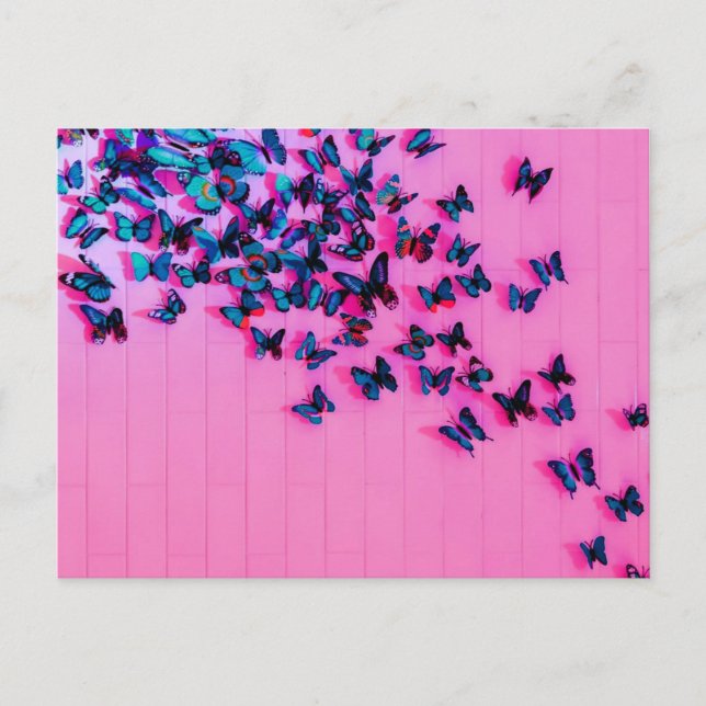 Postal Mariposas Blue Pink Beautiful (Anverso)
