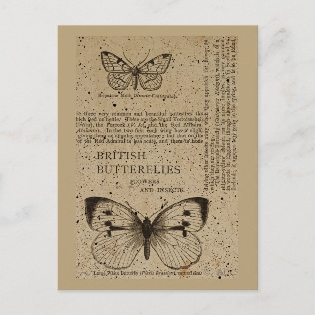 Postal Mariposas británicas